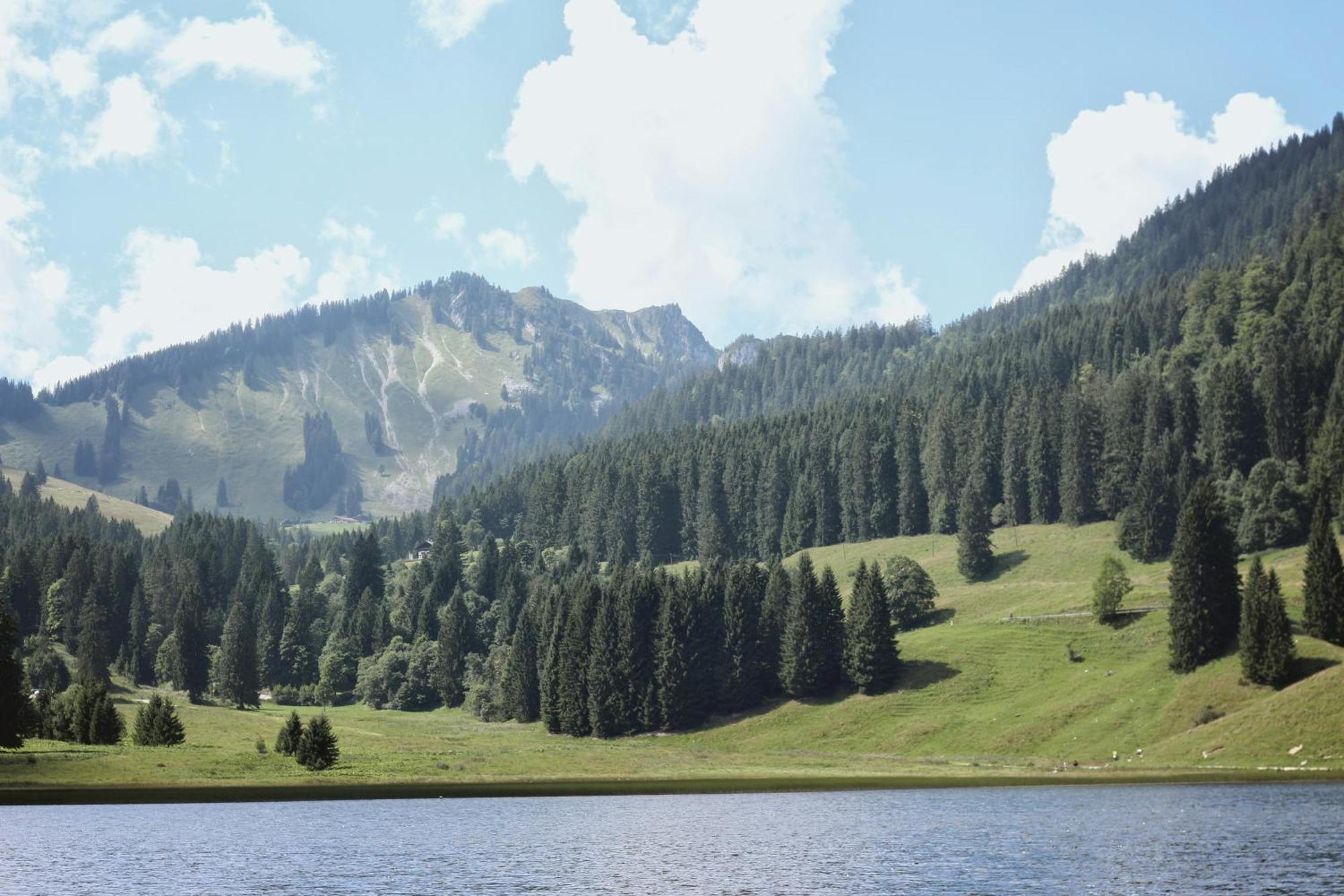 Ferienwohnung "Seeruhe" - Berge, See Und Natur Am Spitzingsee ชลีเอร์ซี ภายนอก รูปภาพ